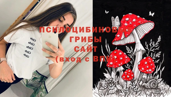 мдпв Верхний Тагил