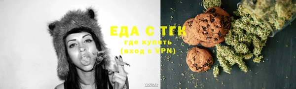 мдпв Верхний Тагил