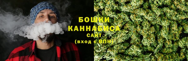 мдпв Верхний Тагил