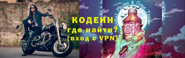 мдпв Верхний Тагил