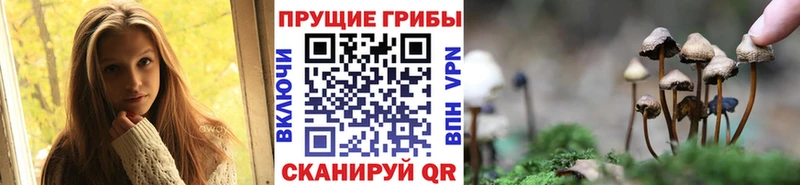 блэк спрут ТОР  Копейск  Псилоцибиновые грибы Magic Shrooms 